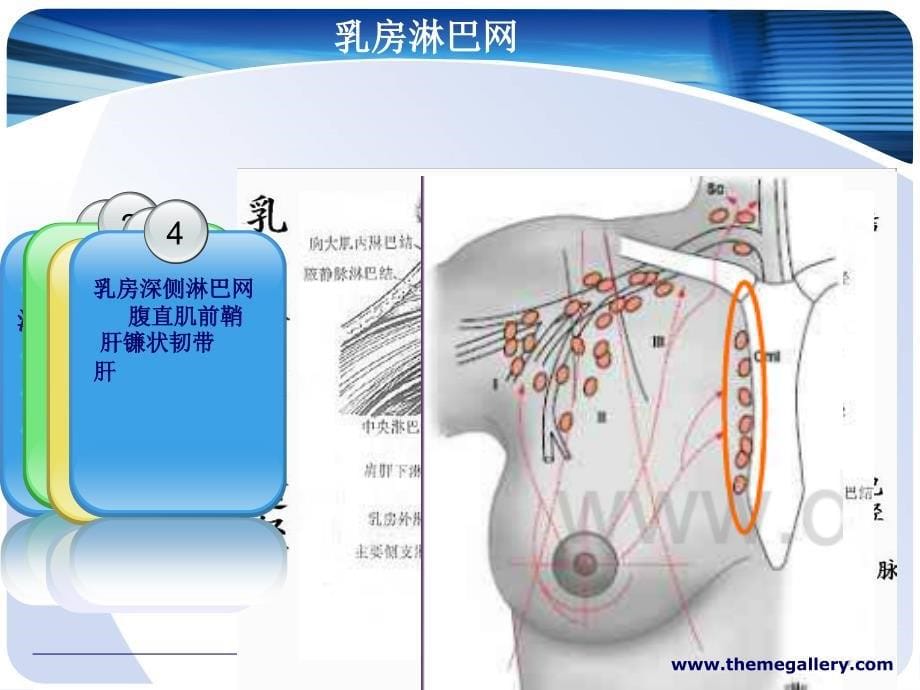 乳腺癌改良根治术护理配合_第5页