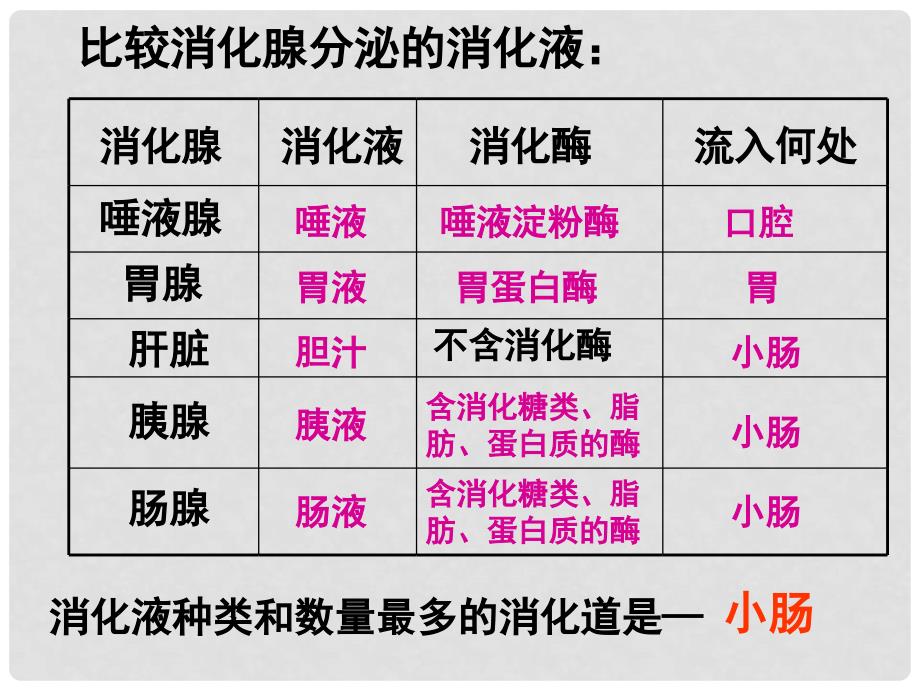 七年级生物下册 第2单元 第1章 第3节 营养物质的吸收和利用课件 （新版）冀教版.ppt_第3页