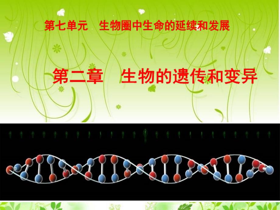 第一节基因控制生物的性状课用_第2页