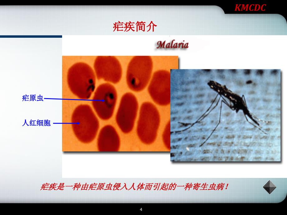 疟疾防治知识与消除疟疾方案行业研究_第4页