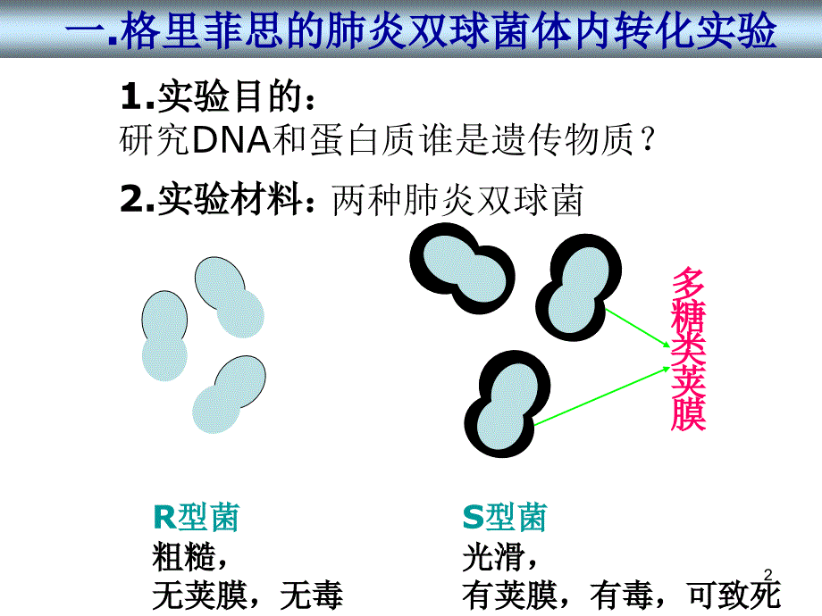 生物3.1DNA是主要的遗传物质课件1新人教版必修2_第2页