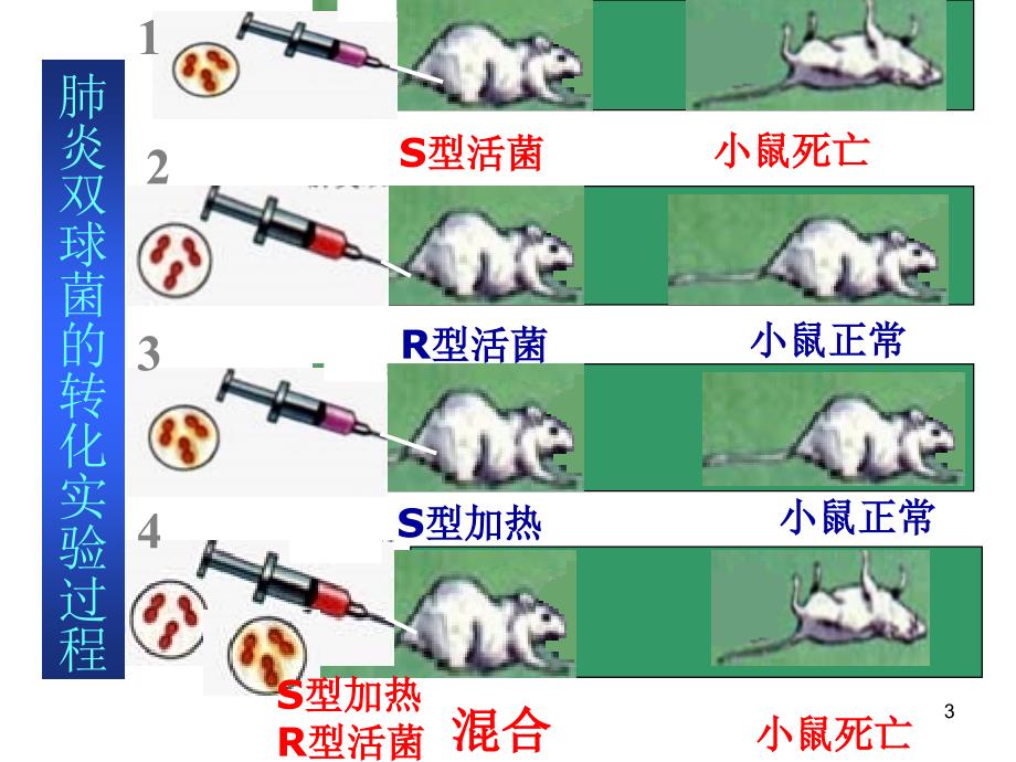 生物3.1DNA是主要的遗传物质课件1新人教版必修2_第3页