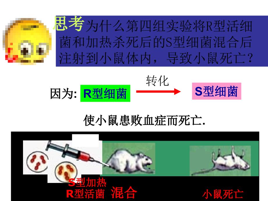 生物3.1DNA是主要的遗传物质课件1新人教版必修2_第4页