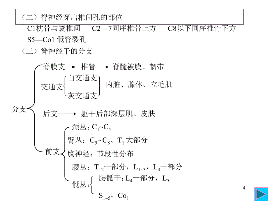 医学百事通移动医疗资料库脊神经转_第4页