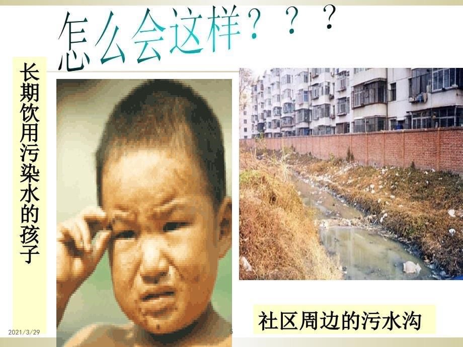 环境保护与生态文明建设.PPT_第5页