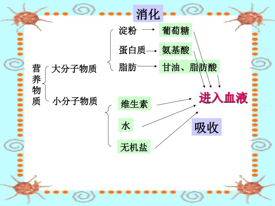 第二节(1)食物的消化课件_第2页