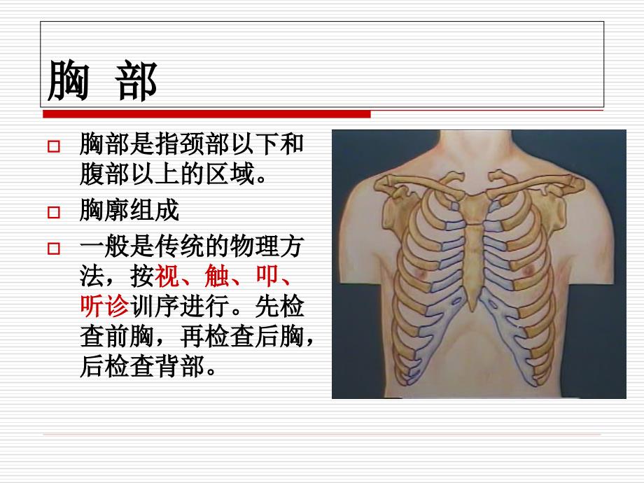 肺部体格检查视、触、叩诊、听诊2课件_第2页