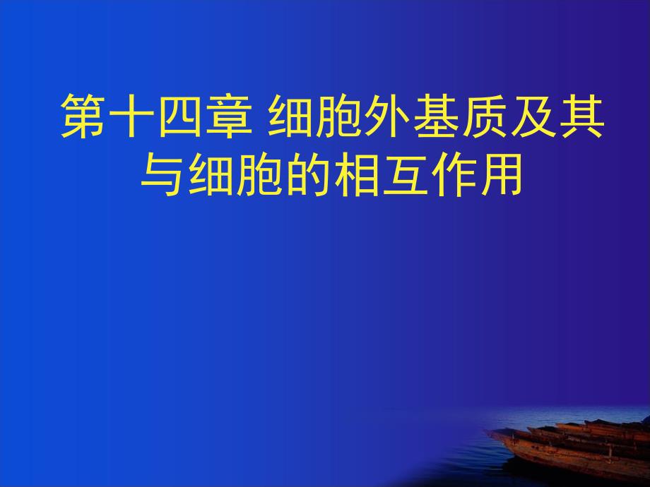 细胞生物学：第十四章 细胞外基质及其与细胞的相互作用_第1页
