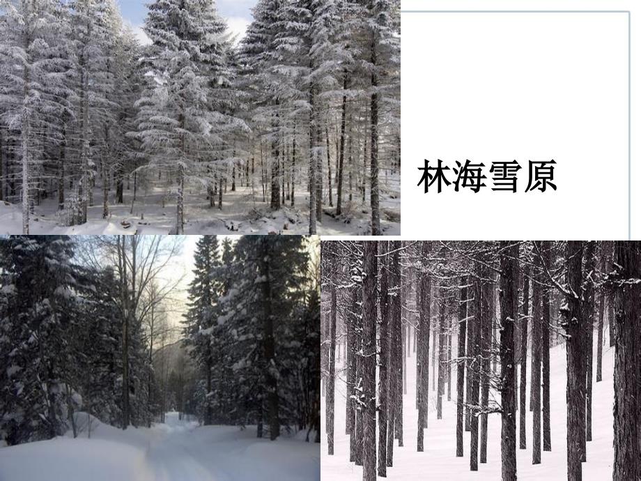 唐“白山黑水”——东北三省课件_第3页