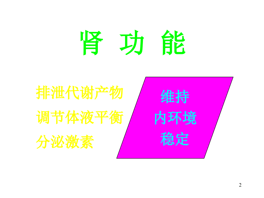 肾功能的核医学检查ppt课件_第2页