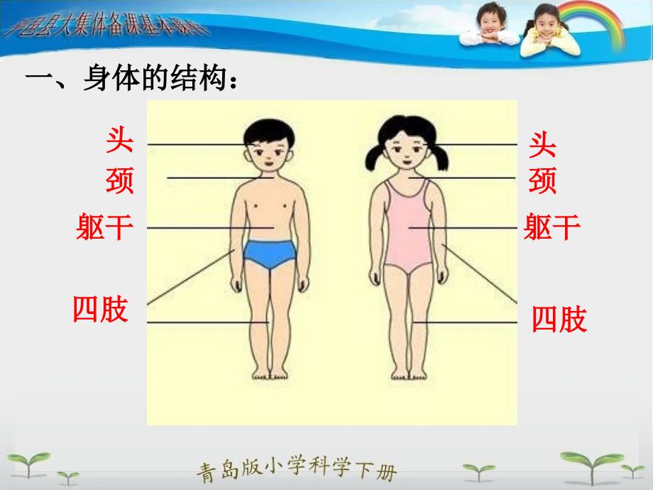 小学科学三年级下册我们的身体课件_第3页