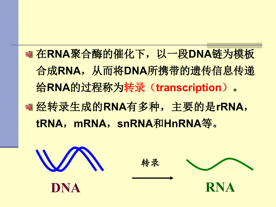 RNA的生物合成 11Transcription_第2页