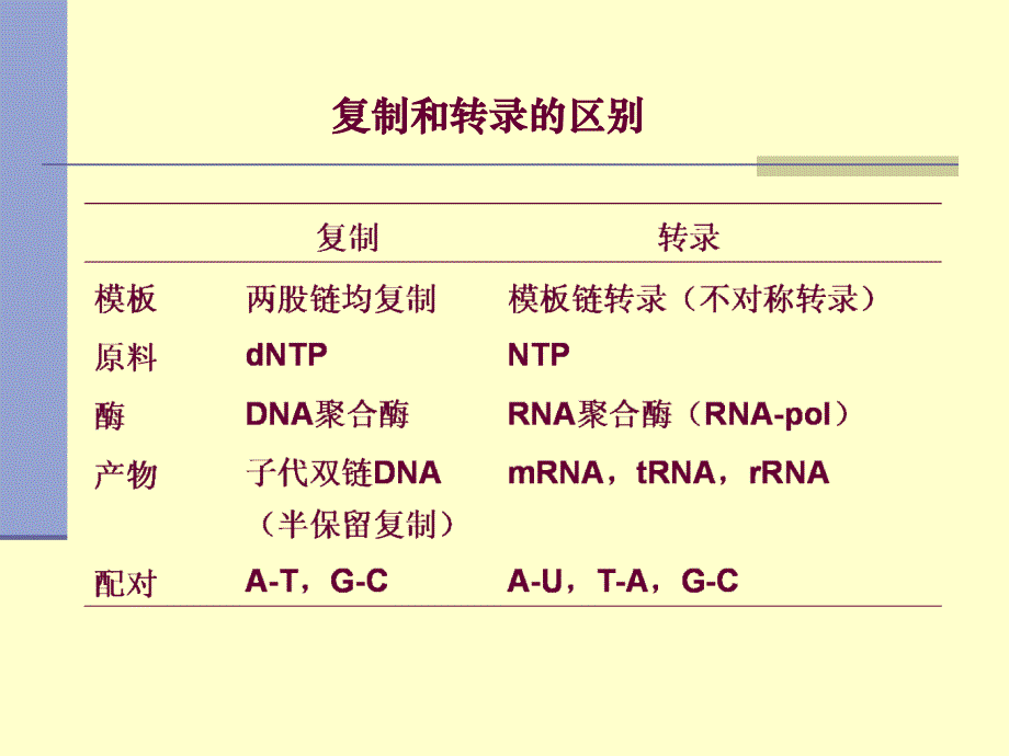 RNA的生物合成 11Transcription_第3页