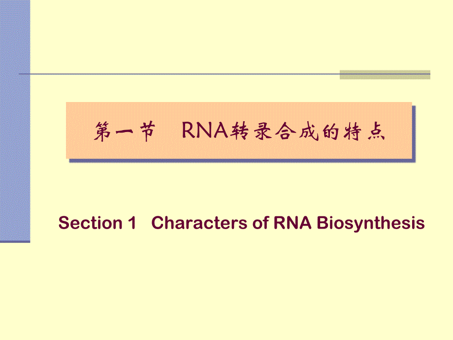 RNA的生物合成 11Transcription_第4页