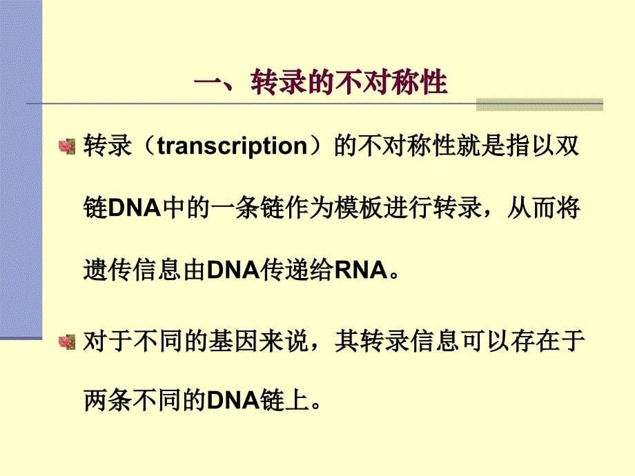 RNA的生物合成 11Transcription_第5页