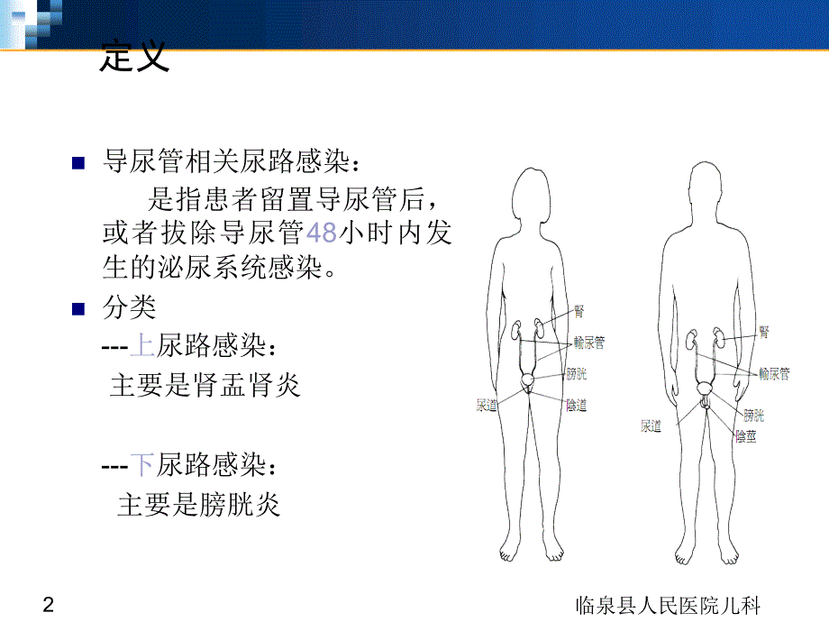 导尿管相关尿路感染预防与控制PPT课件0_第2页