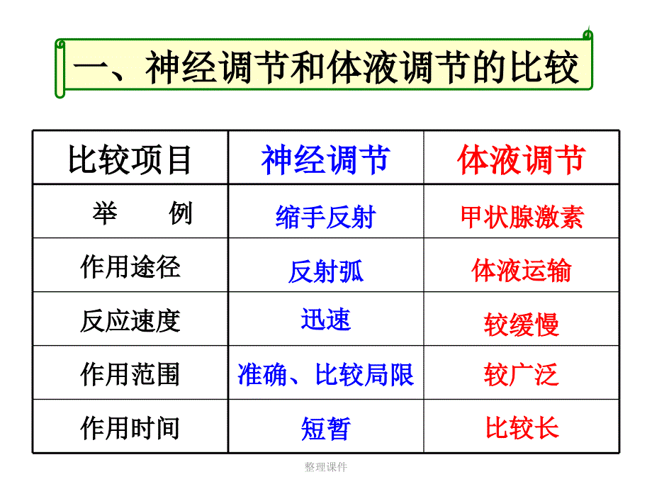 文科神经调节与体液调节的关系1_第3页