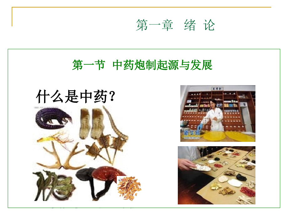 中药炮制技术第15章ppt_第2页