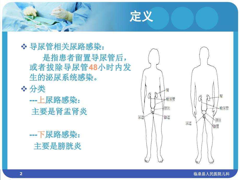 导尿管相关尿路感染预防与控制_第2页