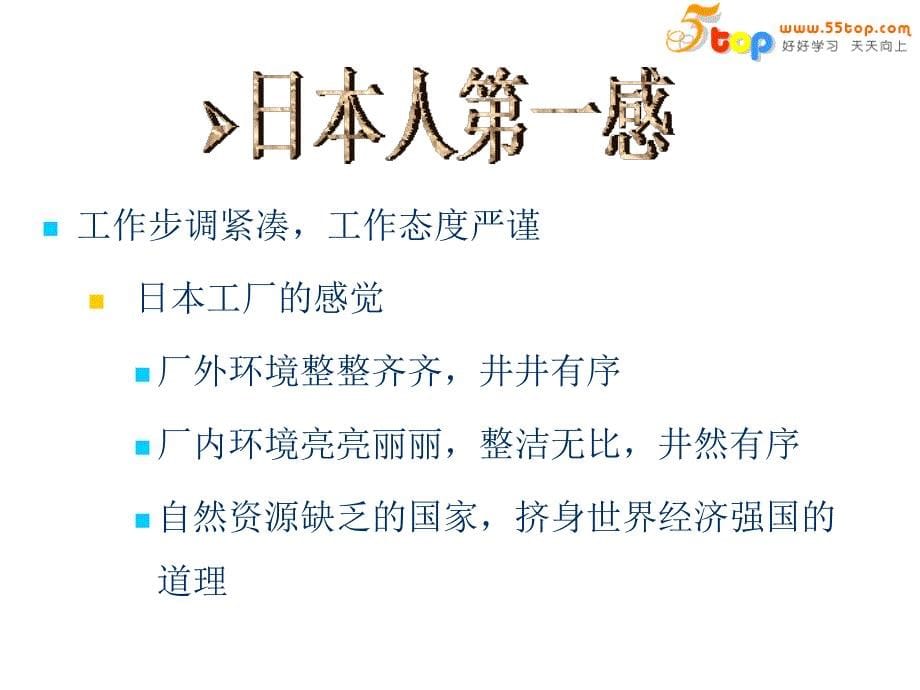 精益6S实施项目推进方案_第5页