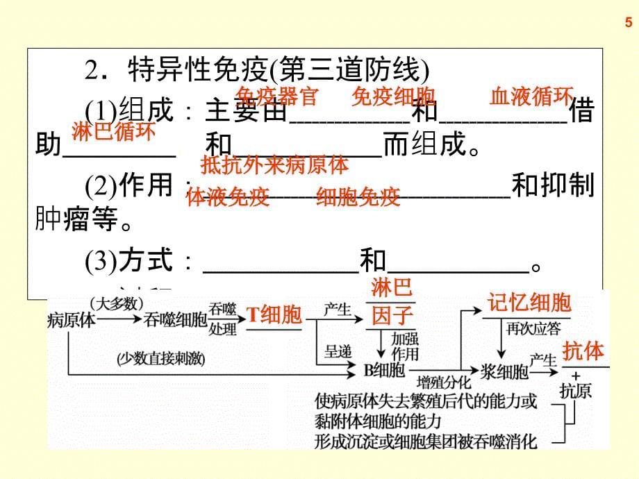 高三生物复习通用课件免疫调节_第5页