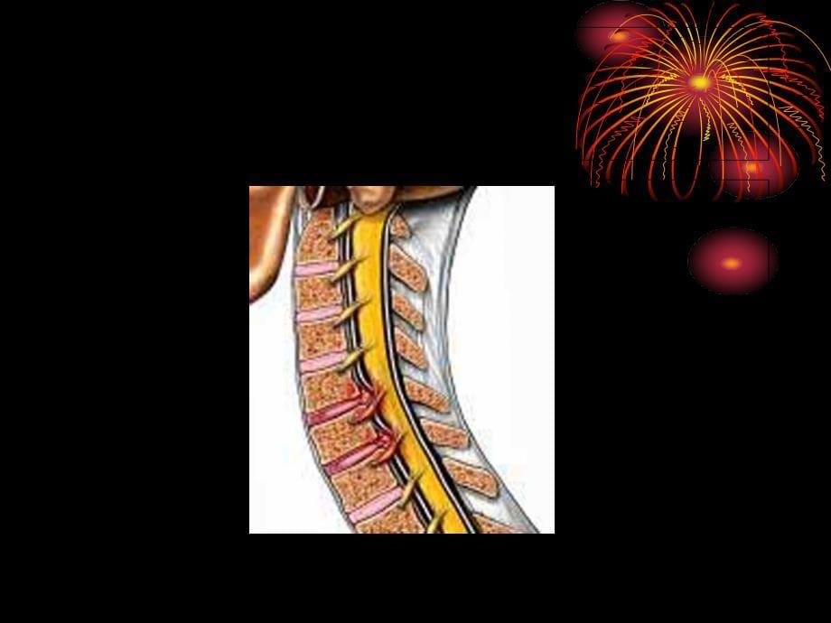 项痹、腰痛-2课件_第5页