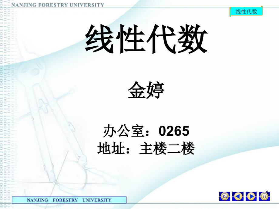 11工程数学线性代数PPT_第1页