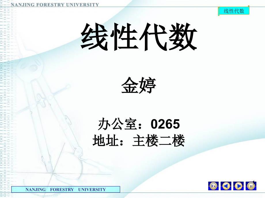 11工程数学线性代数PPT