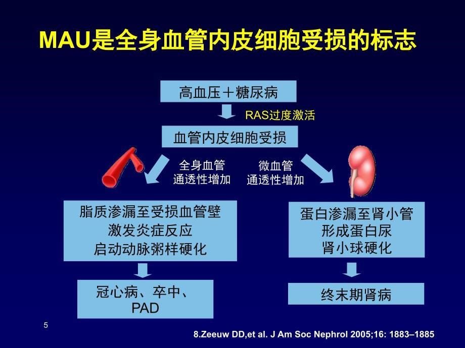 高血压与糖尿病患者MAU的筛查与干预_第5页