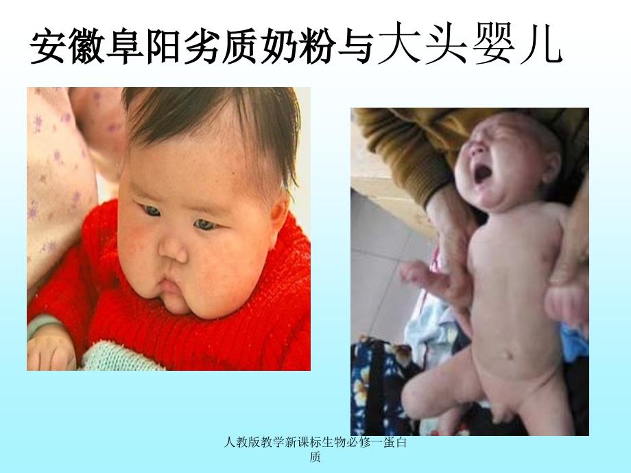 人教版教学新课标生物必修一蛋白质课件_第1页