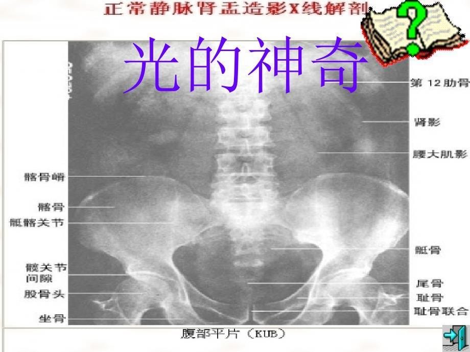 沪科版八年级第四章光现象第一节：光的传播_第5页