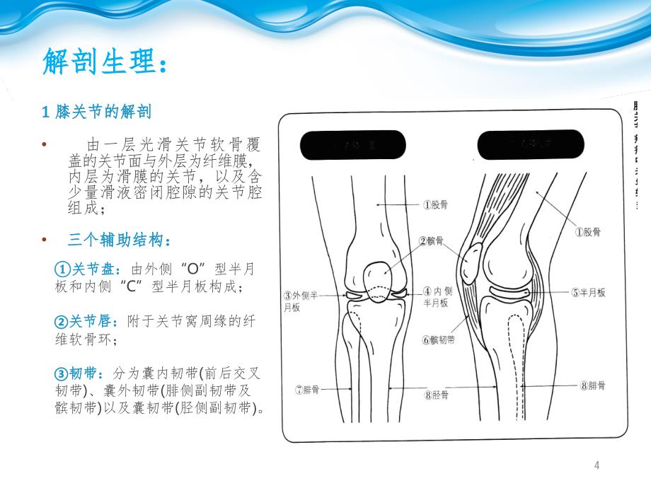 退行性膝关节病变PPT精品文档_第4页