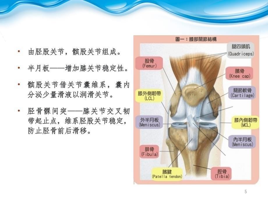 退行性膝关节病变PPT精品文档_第5页