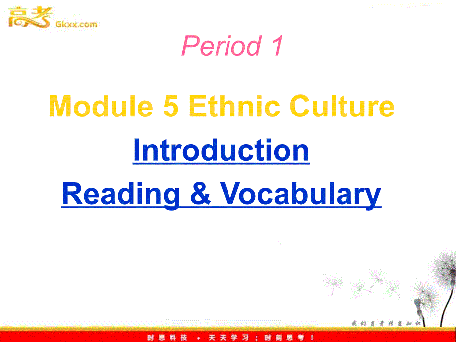 陕西省汉中市陕飞二中高二英语《Ethnic Culture》课件 外研版选修7_第1页