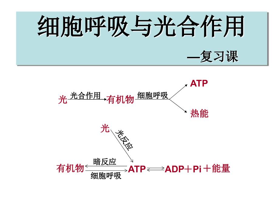 光合作用和呼吸作用复习.ppt_第1页