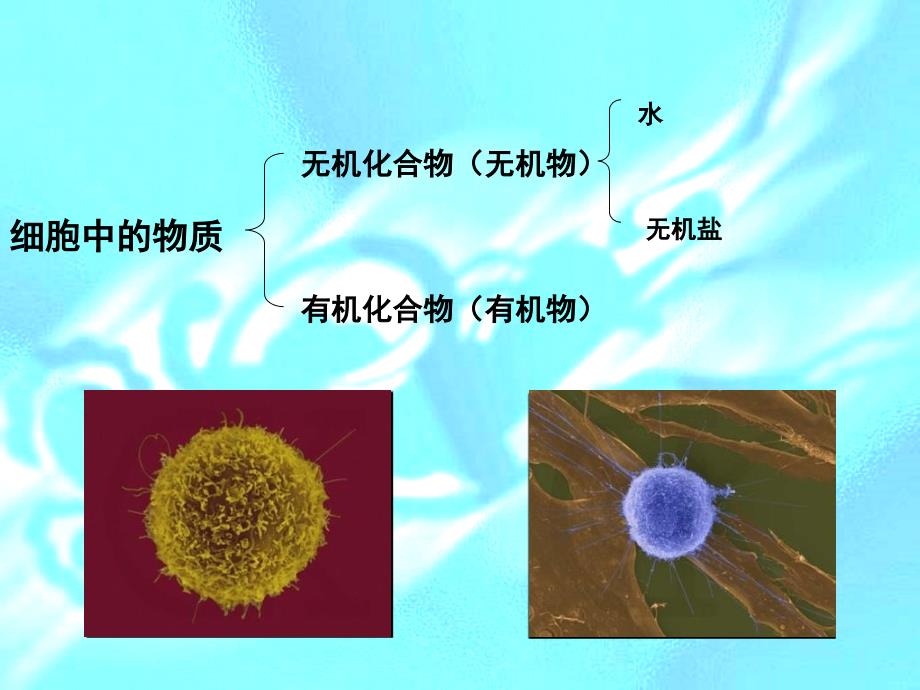 有机化合物及生物大分子_第2页