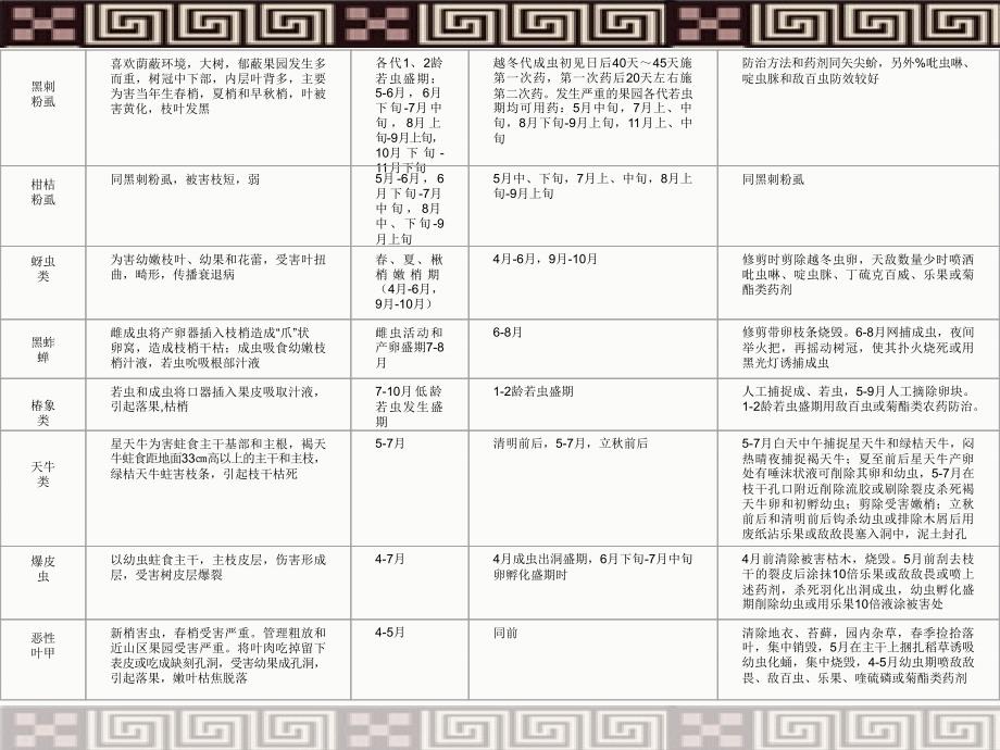 柑橘栽培新技术培训经典.ppt_第3页