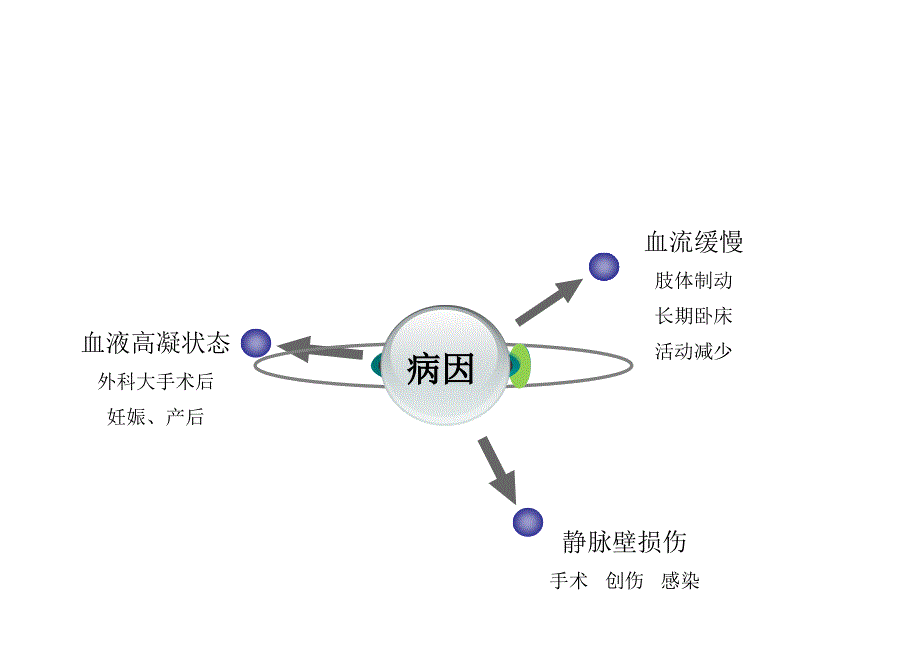 深静脉血栓的预防与护理ppt课件_第4页