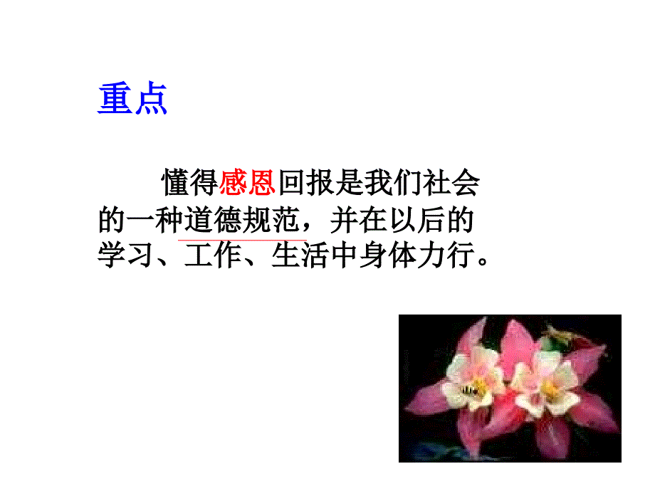 学会感恩_主题班会课件_第3页