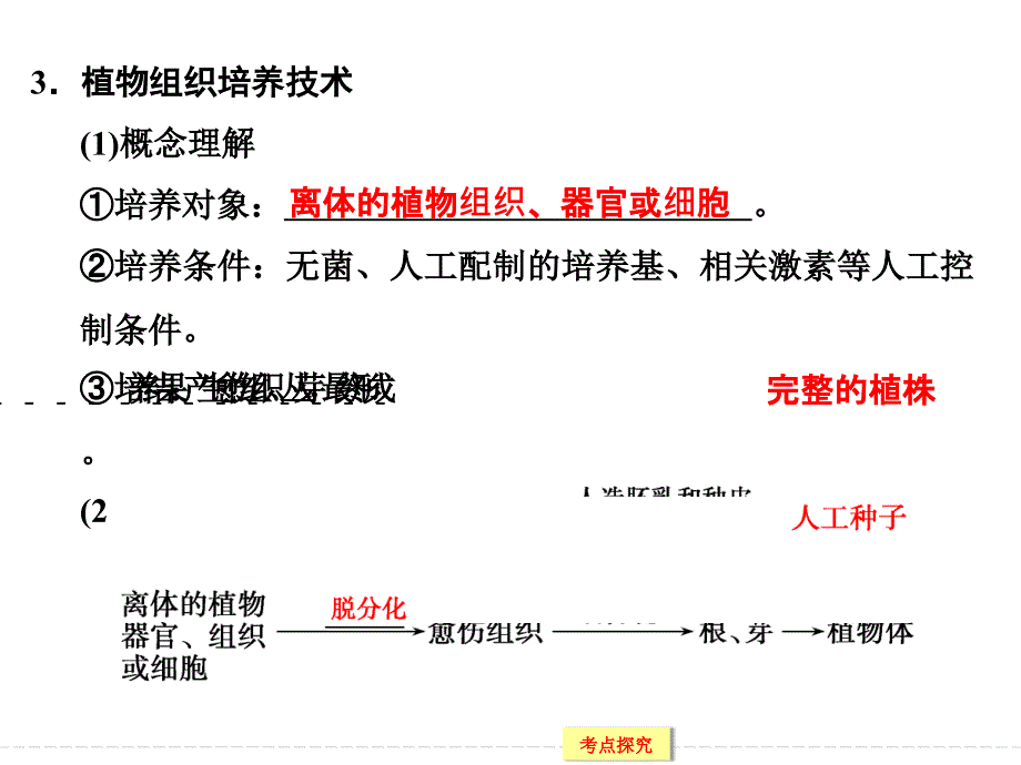 专题二 细胞工程一轮复习课件_第4页