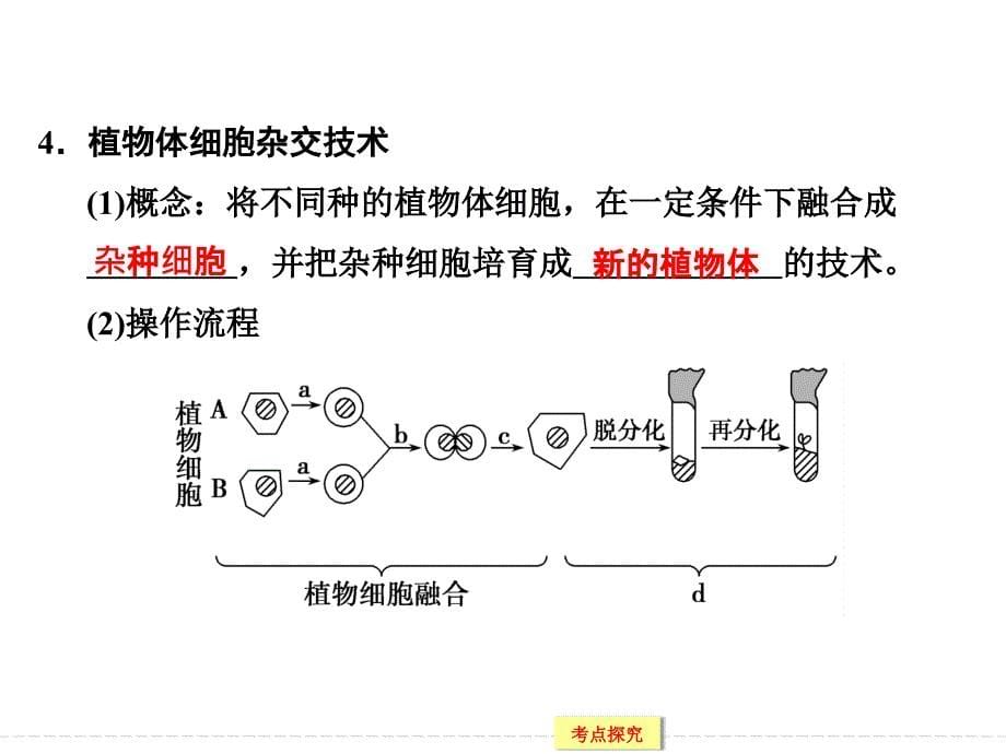 专题二 细胞工程一轮复习课件_第5页