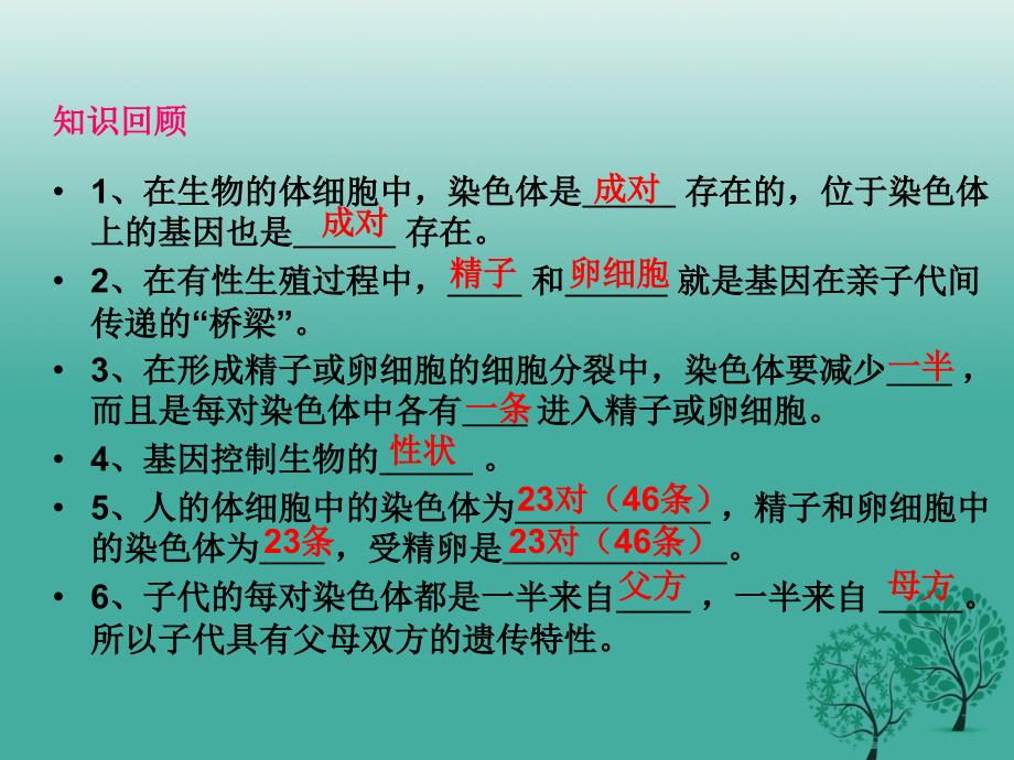 八年级生物下册 第七单元 第三节 基因的显性和隐性课件1 （新版）新人教版_第2页