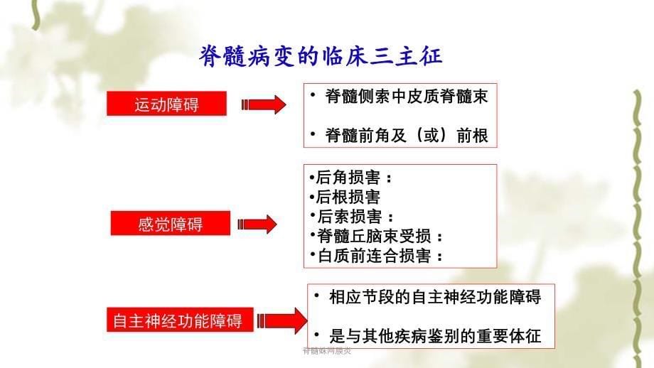 脊髓蛛网膜炎ppt课件_第5页