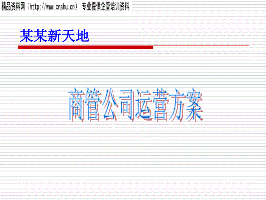 商管公司运营方案_第1页