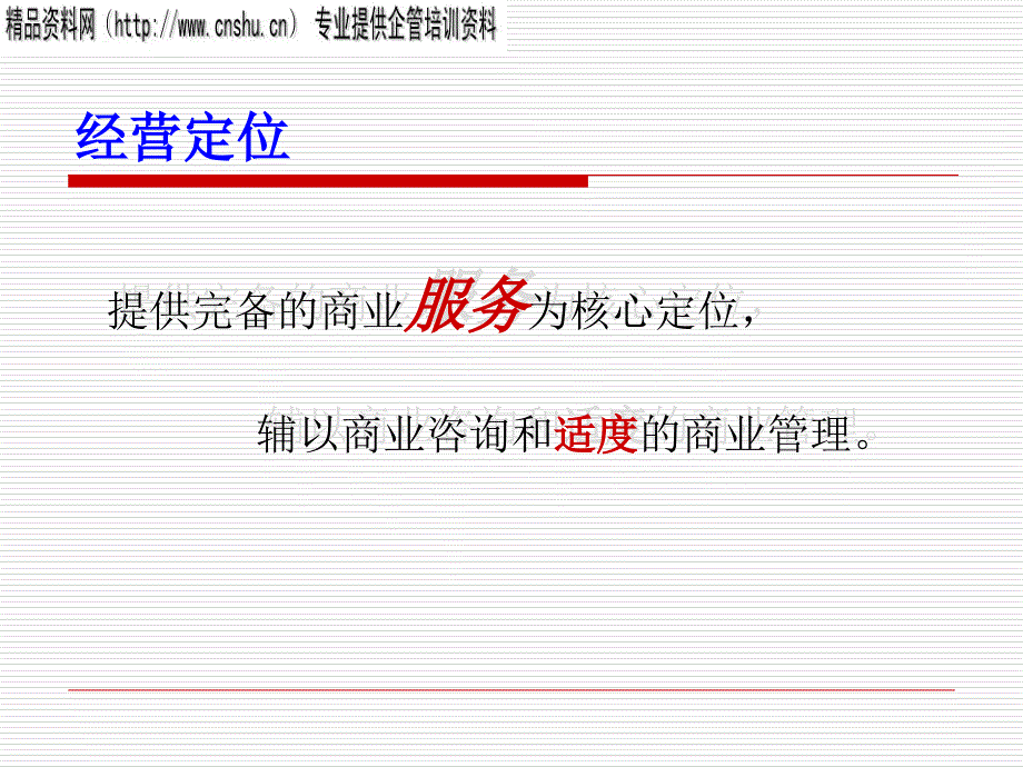 商管公司运营方案_第3页