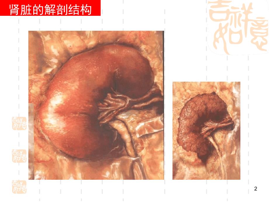 糖尿病肾病彭佑铭教授_第2页