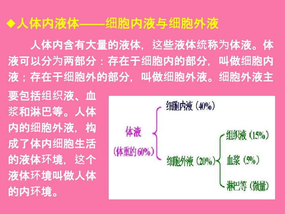 教学311生物必修3课堂教学细胞生活的环境ppt课件_第3页