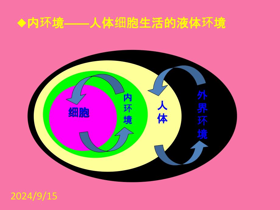 教学311生物必修3课堂教学细胞生活的环境ppt课件_第4页