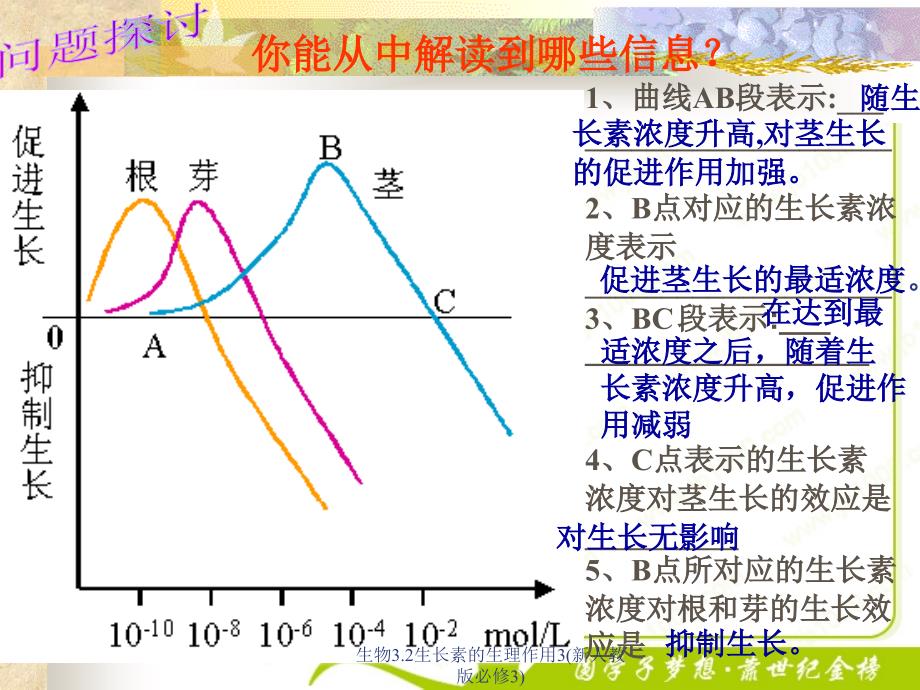 生物3.2生长素的生理作用3新人教版必修3课件_第3页