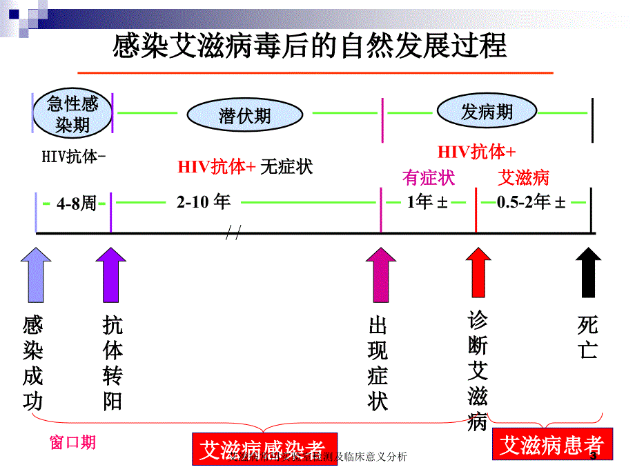 艾滋病常用实验室检测及临床意义分析课件_第3页